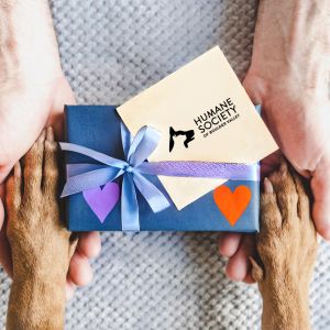 HSBV training gift cards